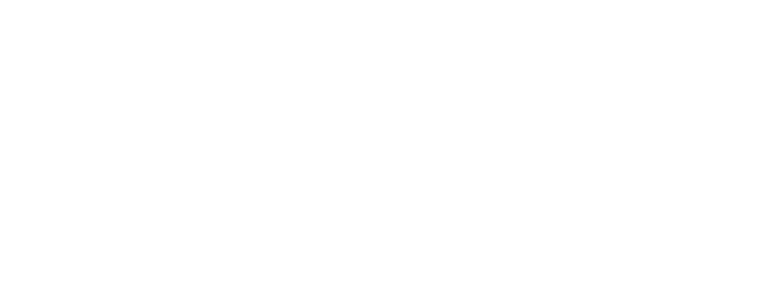 pv white logo