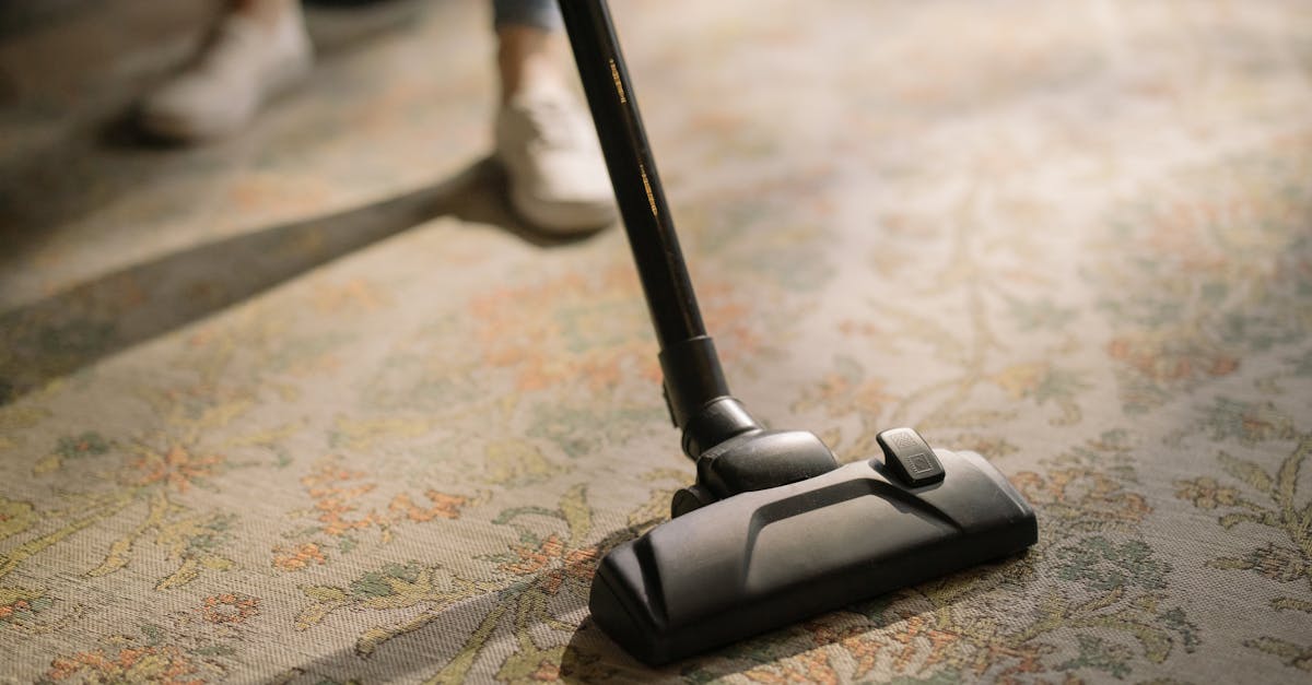 Close-up of a vacuum cleaner on a patterned carpet in a sunlit room, capturing a moment of household cleaning.